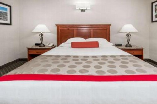 Ramada by Wyndham Frisco - image 28