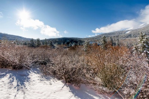 Two-Bedroom Condo G136 at Mountainside - image 10