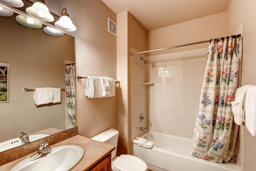 Tarn Landing C-5 Condo - image 17