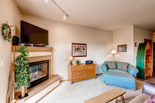 Tarn Landing C-5 Condo - image 9