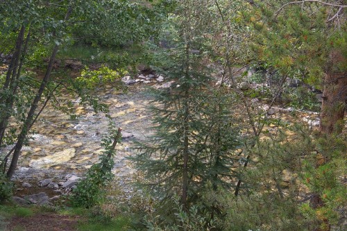 River Glen 203B - image 18