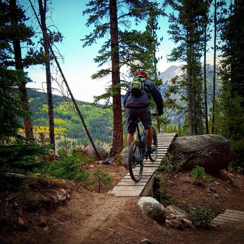 River Glen 203B - image 21