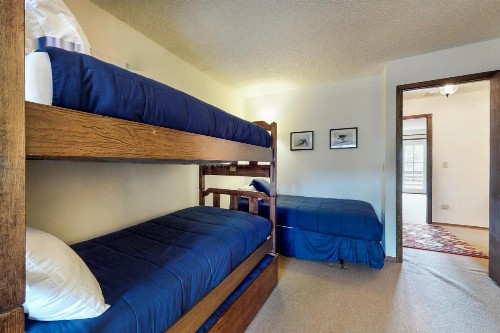 4 Bed 3 Bath Vacation home in Frisco - image 12