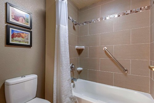 Comfort Inn & Suites - image 10