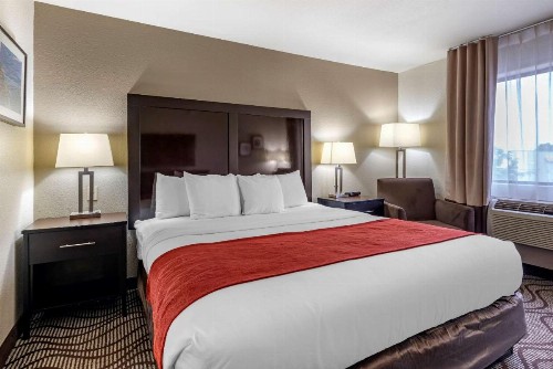 Comfort Inn & Suites - image 11