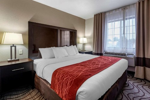 Comfort Inn & Suites - image 13