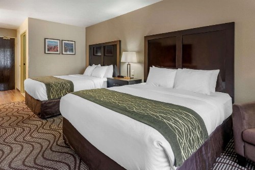Comfort Inn & Suites - image 19