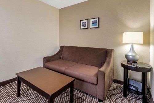 Comfort Inn & Suites - image 28