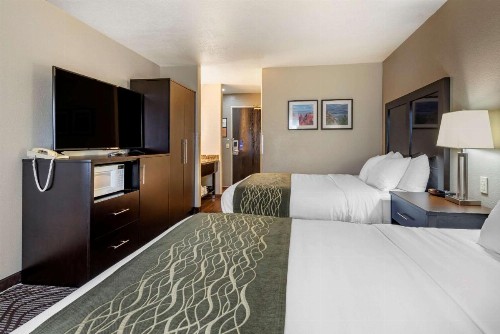 Comfort Inn & Suites - image 5