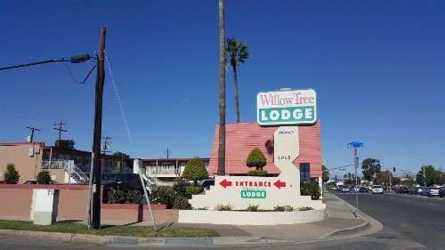 Willow Tree Lodge - image 12