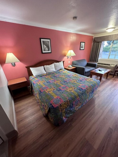 Willow Tree Lodge - image 16