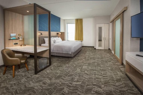 SpringHill Suites by Marriott Gainesville Haymarket - image 22