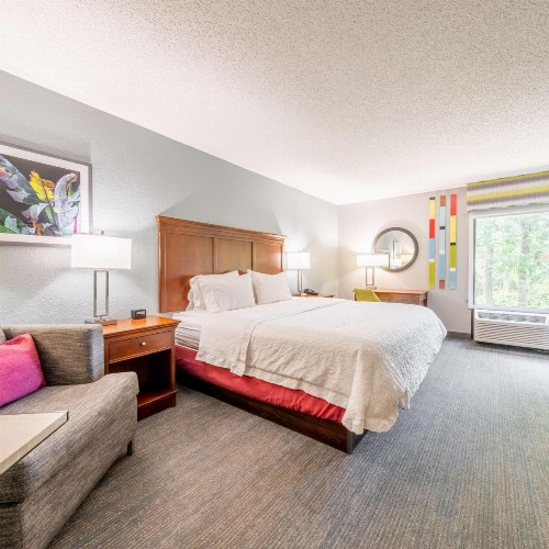 Hampton Inn Gainesville - image 34