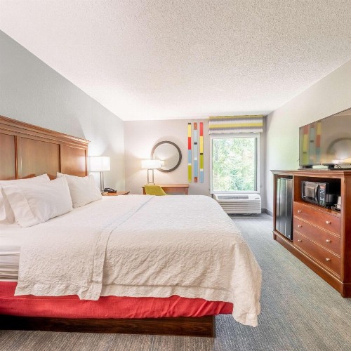 Hampton Inn Gainesville - image 35