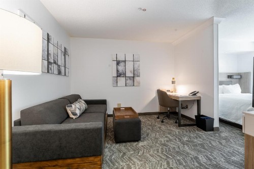 SpringHill Suites Gainesville - image 27