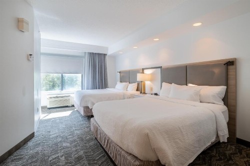 SpringHill Suites Gainesville - image 28