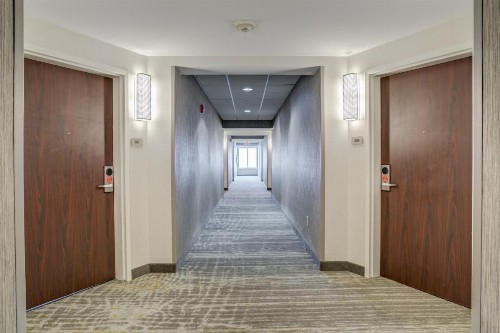SpringHill Suites Gainesville - image 31