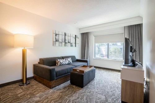 SpringHill Suites Gainesville - image 36
