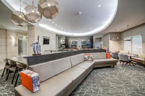 SpringHill Suites Gainesville - image 4