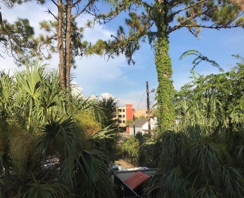 Gainesville Lodge - image 7