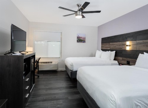 HoM A Trademark Collection Hotel - image 3