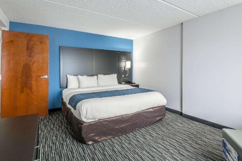 Comfort Inn University Gainesville - image 10