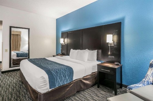 Comfort Inn University Gainesville - image 25