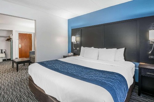 Comfort Inn University Gainesville - image 8