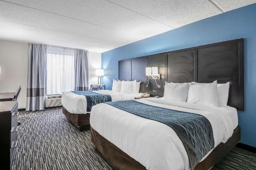Comfort Inn University Gainesville - image 9