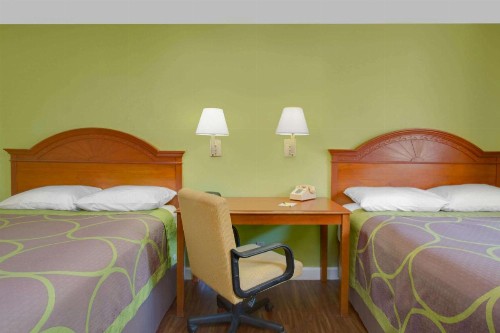 Super 8 by Wyndham Gainesville - image 6
