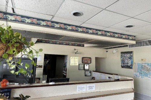 Knights Inn Gainesville - image 2