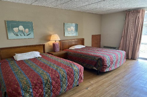 Knights Inn Gainesville - image 7