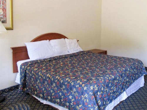 Motel 6-Gainesville FL - image 40