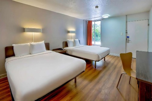Motel 6-Gainesville FL - image 6