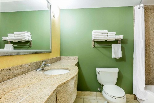 Sleep Inn & Suites University/Shands - image 17