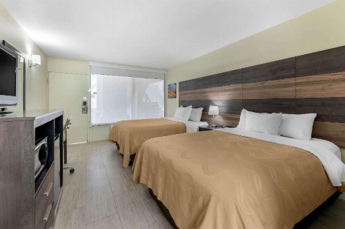 Quality Inn University North I-75 - image 34