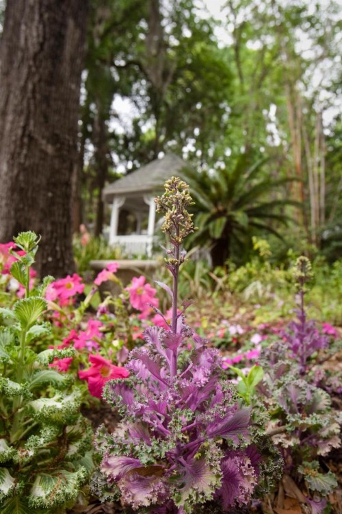 Sweetwater Branch Inn - image 24
