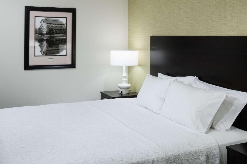 Hampton Inn Suites - Gainesville Downtown - image 30