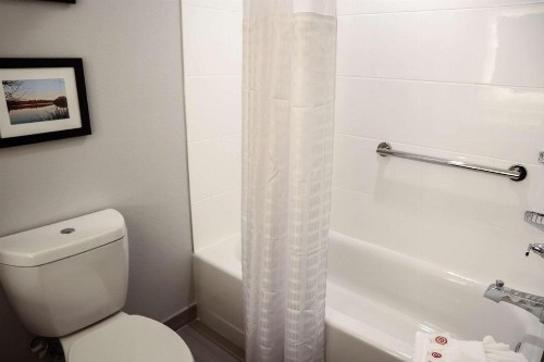 Comfort Suites Gainesville Near University - image 10