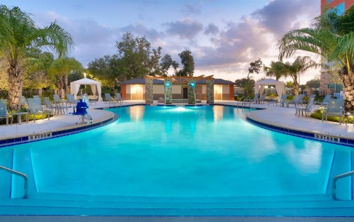 Staybridge Suites - Gainesville I-75 an IHG Hotel - image 9