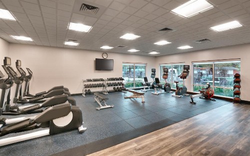 Holiday Inn Express & Suites - Gainesville I-75 an IHG Hotel - image 39