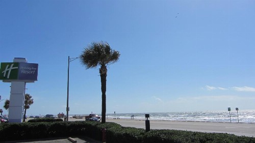 Holiday Inn Resort Galveston - On The Beach an IHG Hotel - image 3