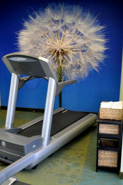 SpringHill Suites Galveston Island - image 2