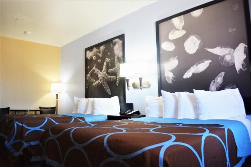 Super 8 by Wyndham Galveston - image 33