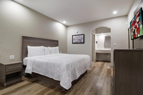Red Roof Inn PLUS + Galveston - Beachfront - image 15