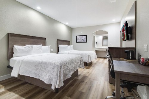 Red Roof Inn PLUS + Galveston - Beachfront - image 20