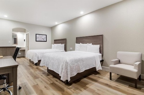 Red Roof Inn PLUS + Galveston - Beachfront - image 24
