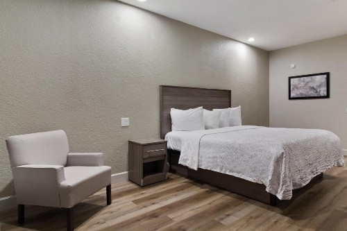 Red Roof Inn PLUS + Galveston - Beachfront - image 27