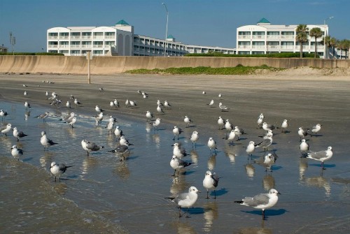 Casa Del Mar Beachfront - image 18