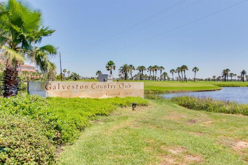 Blue Heron Cove - image 12